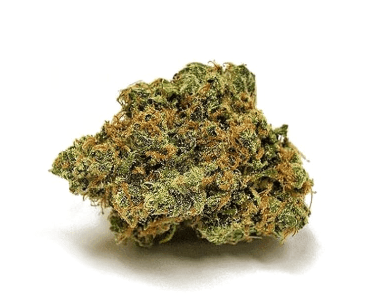 Close-up of Sour Diesel cannabis flower buds with bright green coloring and visible trichomes