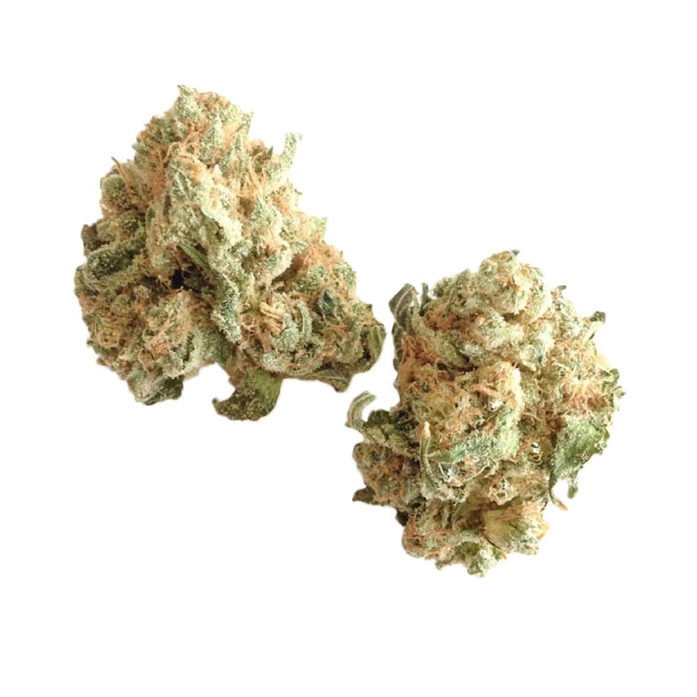 White Widow cannabis strain close-up showing dense frosty buds with white trichome coverage