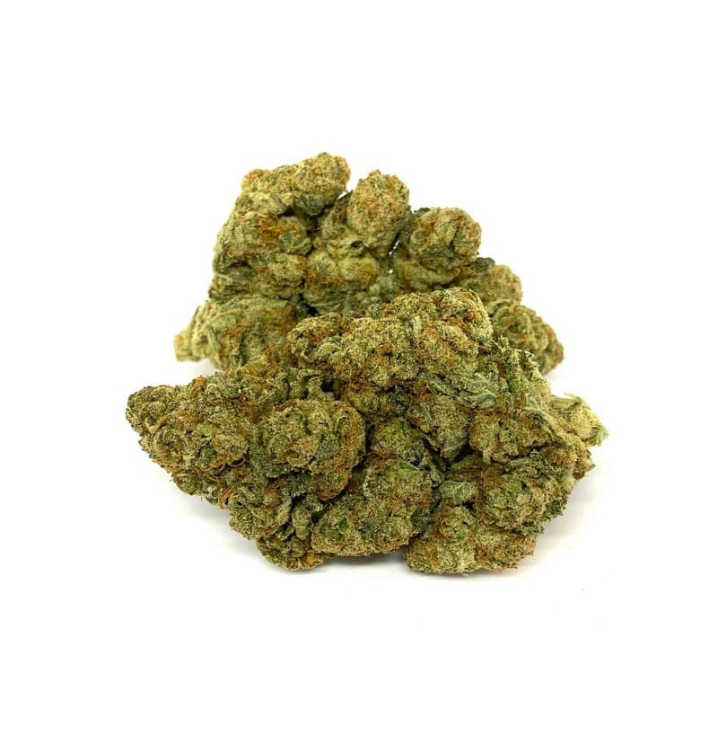 Close-up of a strawberry cough cannabis flower bud with vibrant red hairs and frosty trichomes
