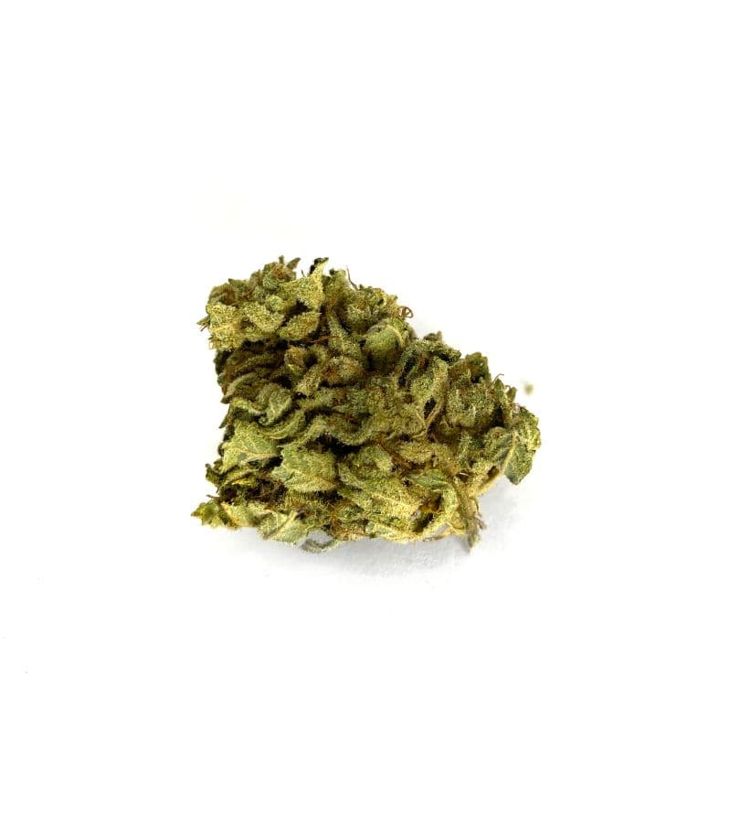 Close-up of Blue Dream Hawaiian lime cannabis flower buds showing vibrant green trichome-covered recreational strain