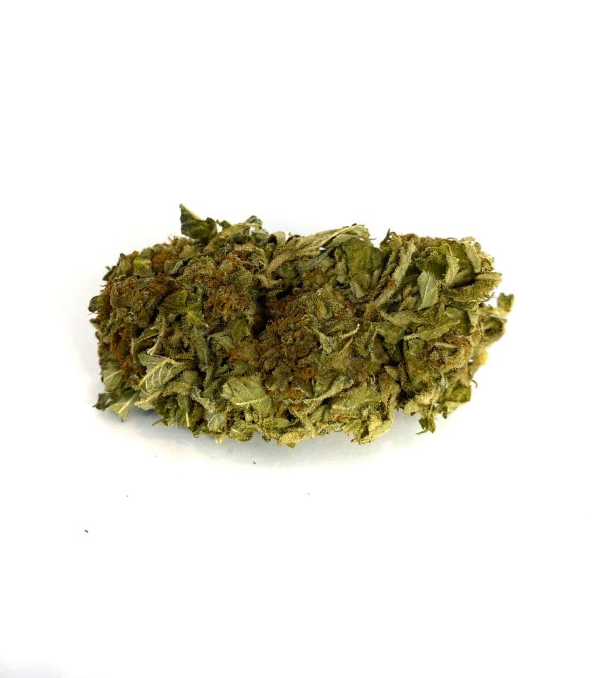 Blue Dream cannabis flower, a sativa-dominant hybrid with vibrant green buds and golden lemon OG trichomes