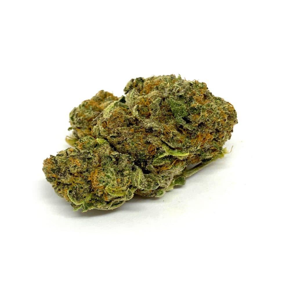 White gold cannabis flower buds of Blue Dream strain close up on clean background