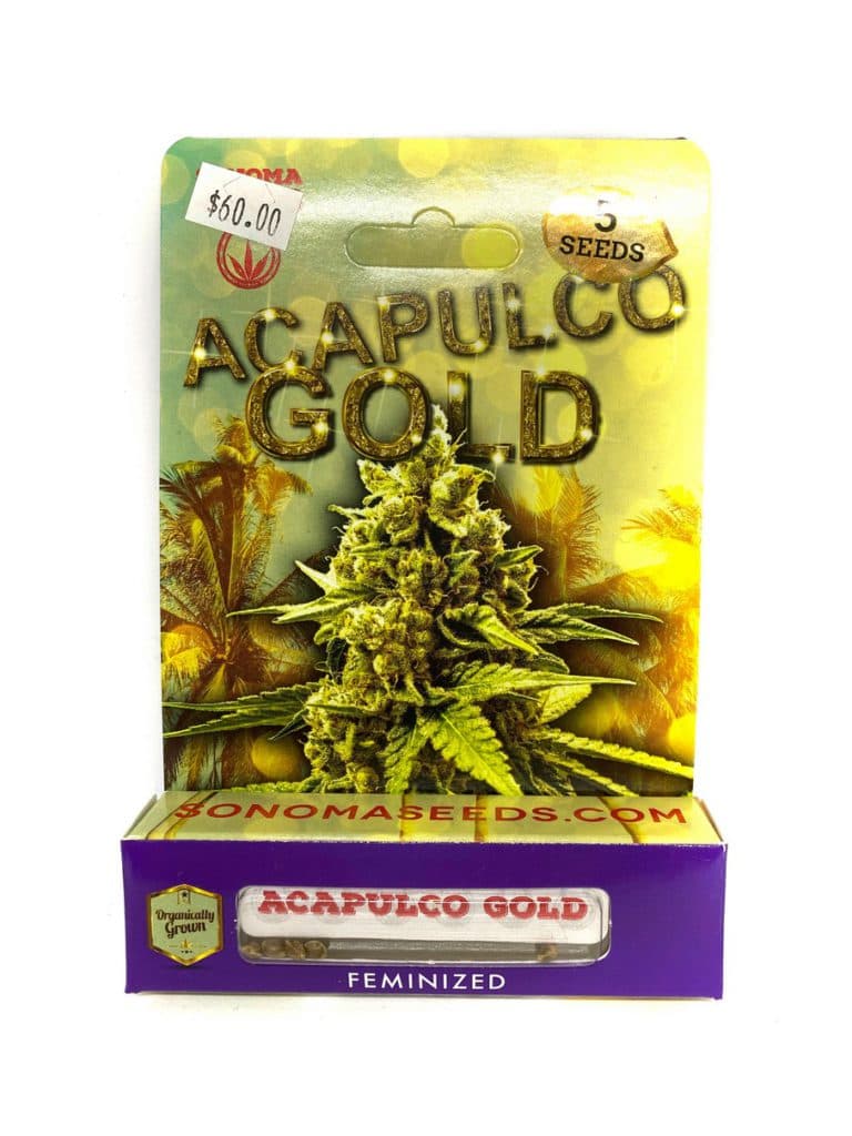 Acapulco Gold cannabis seeds in a small pile showing golden amber coloring and smooth round texture