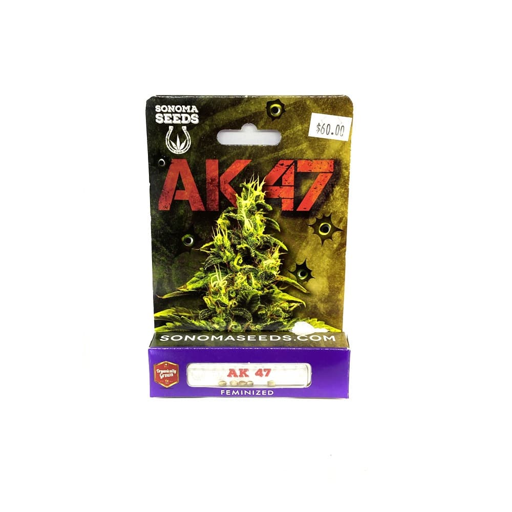 Bubblegum Seeds AK-47 cannabis seed variety close-up view
