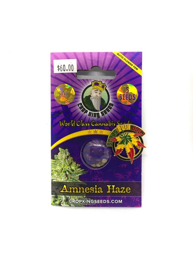 Close-up of Amnesia Haze cannabis seeds, small oval-shaped seeds with mottled brown and tan coloring
