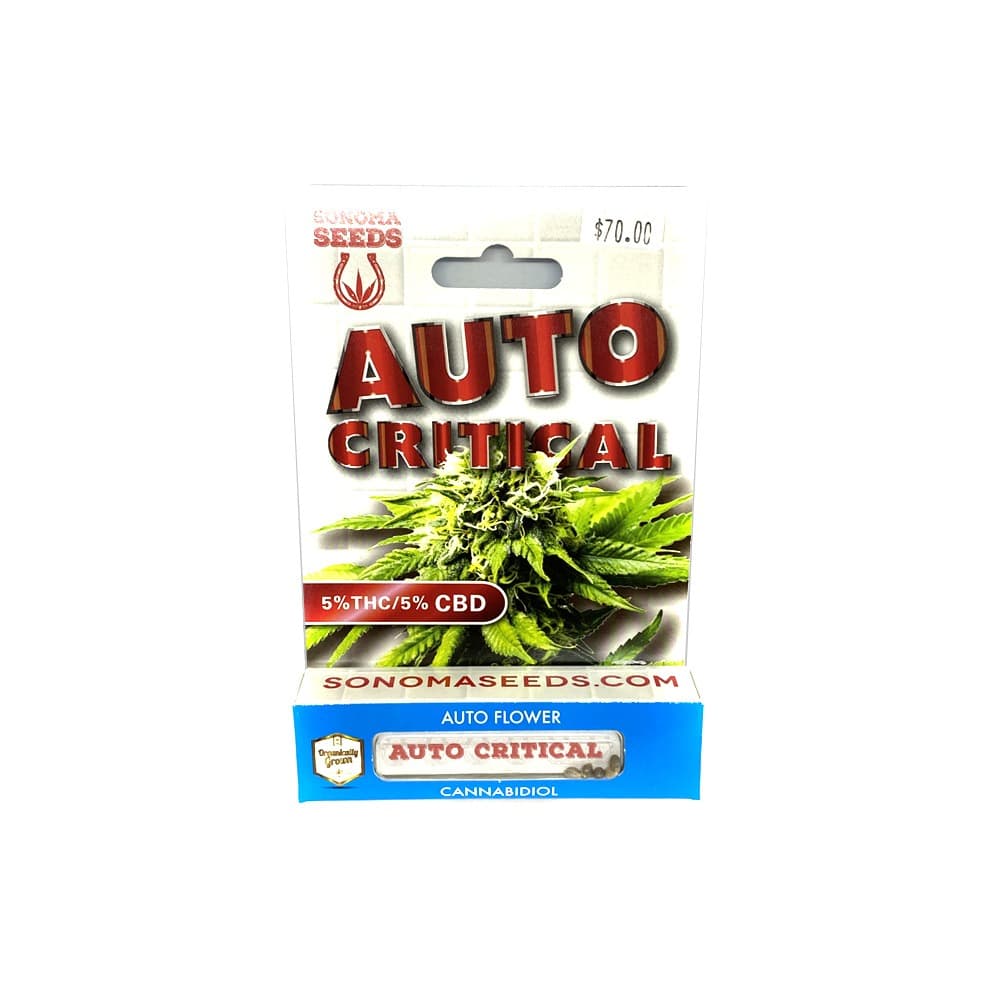 Bubblegum Auto Critical cannabis seeds packet from Company 194 featuring seed packaging and product branding