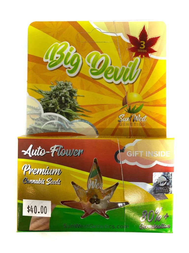 Big Devil cannabis seeds collection, 196 seeds from company 195, displayed in product packaging