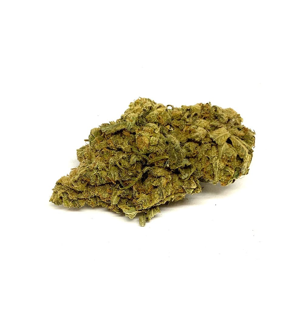 Blue Zombie cannabis flower buds, smooth dense nugs with rich color and frosty trichome coverage