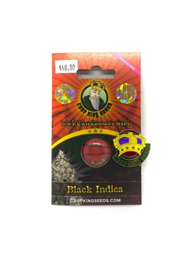 Close-up of Black Indica cannabis seeds, dark glossy seeds shown in a small pile or package