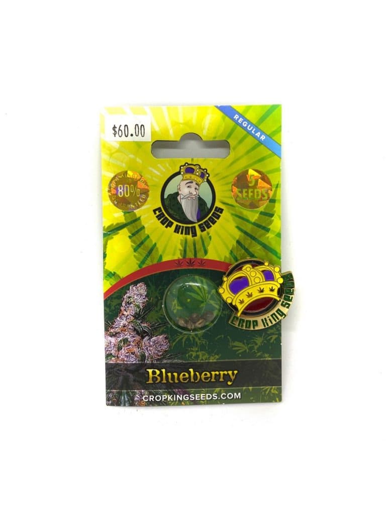 Close-up of fresh blueberry seeds ready for planting, small round seeds ideal for growing blueberry plants at home