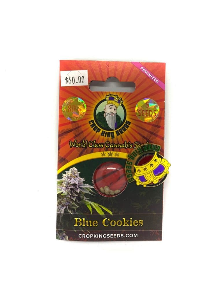 Blue Cookies cannabis seeds in a small pile or packet, showcasing premium quality seeds from a trusted seed company