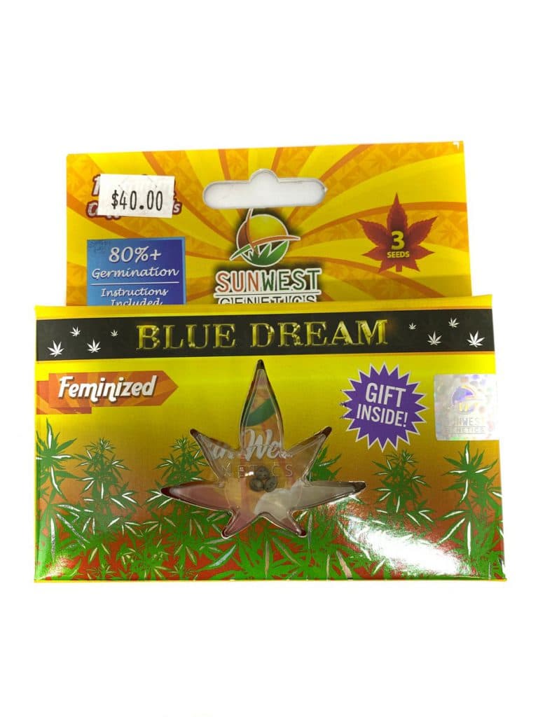 Blue Dream cannabis seeds collection containing 196 seeds from Company 195 in a clear storage container
