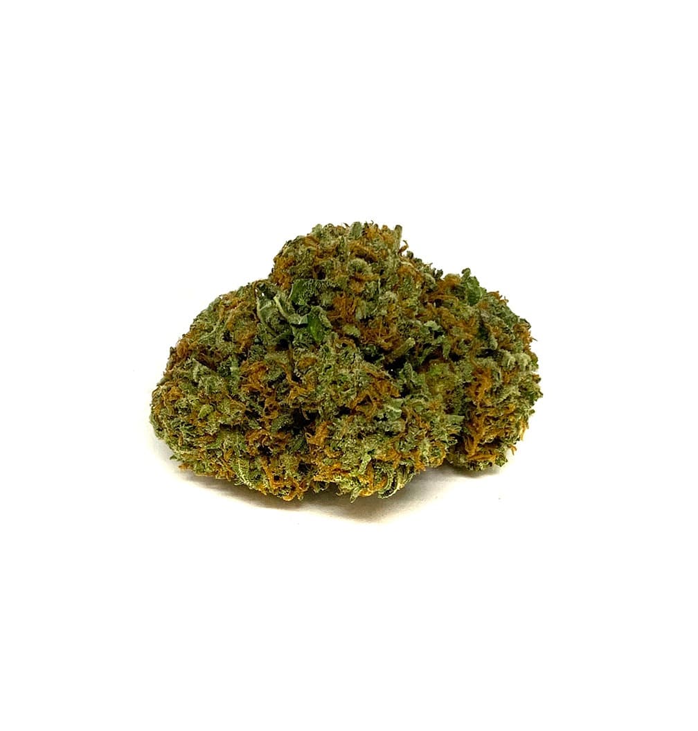 Blue Zombie cannabis flower strain close-up showing dense trichome-covered buds with deep blue and purple hues