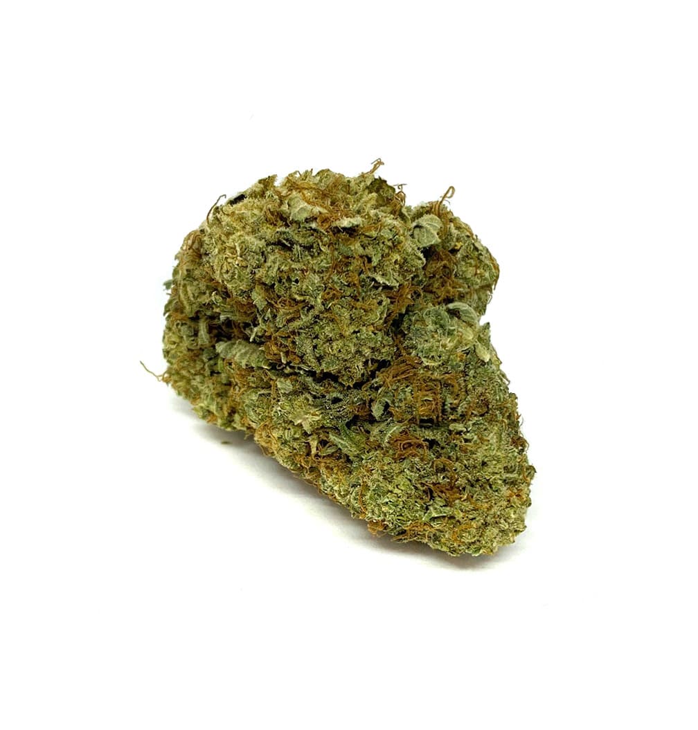 Close-up of Blue Zombie cannabis flower buds with dense trichome coverage and vibrant coloring