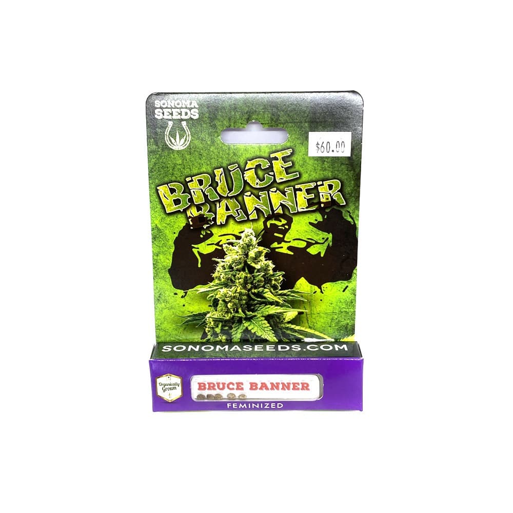 Bubblegum Seeds cannabis strain seed packet Bruce Banner variety close-up product shot