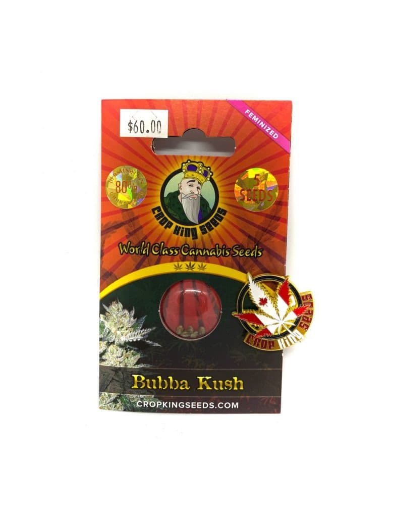 Bubba Kush cannabis seeds collection small dark brown seeds for growing premium indica strain