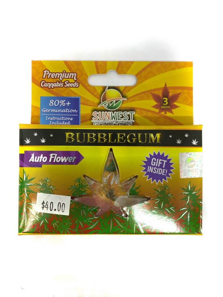 Bubblegum cannabis seeds packet containing 196 seeds by Company 195