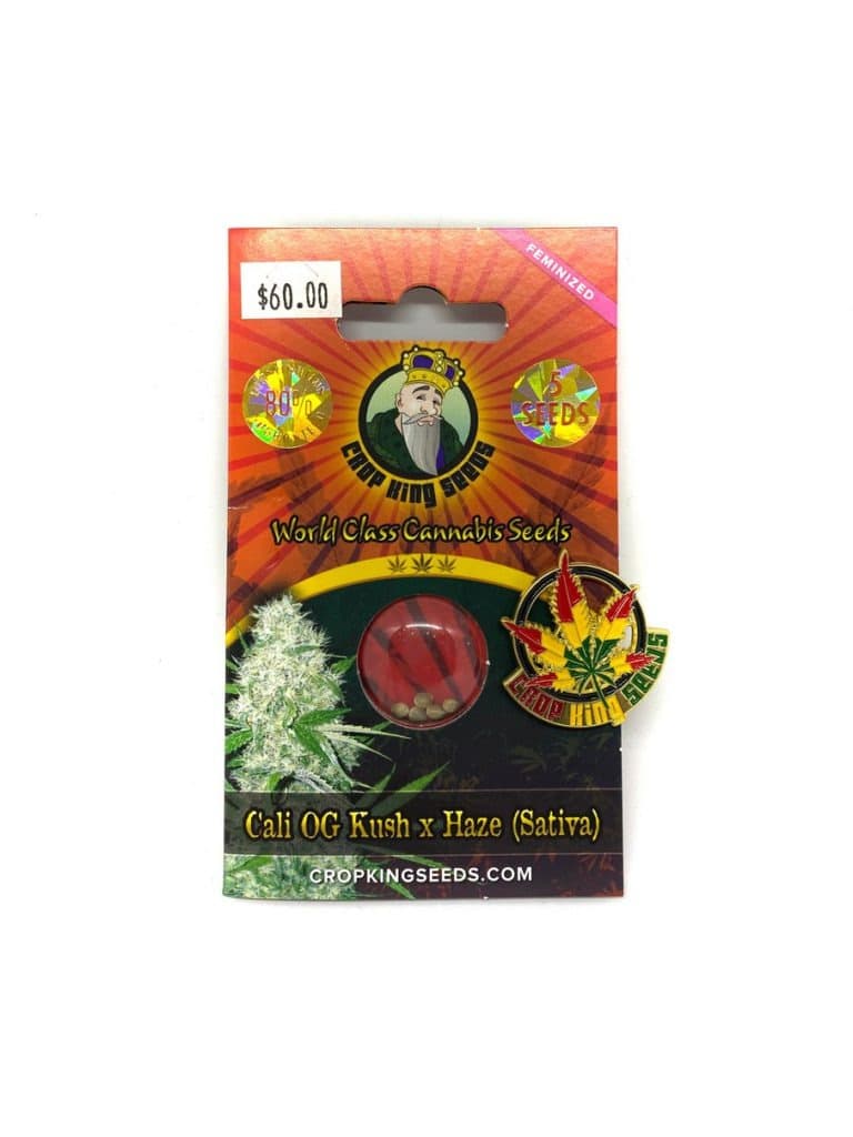 Cali OG Kush x Daze cannabis seeds collection displayed in premium seed packaging