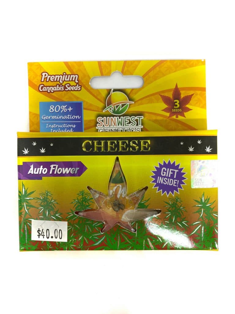 Cheese Seeds packet containing 196 seeds for planting aromatic cheese herb variety