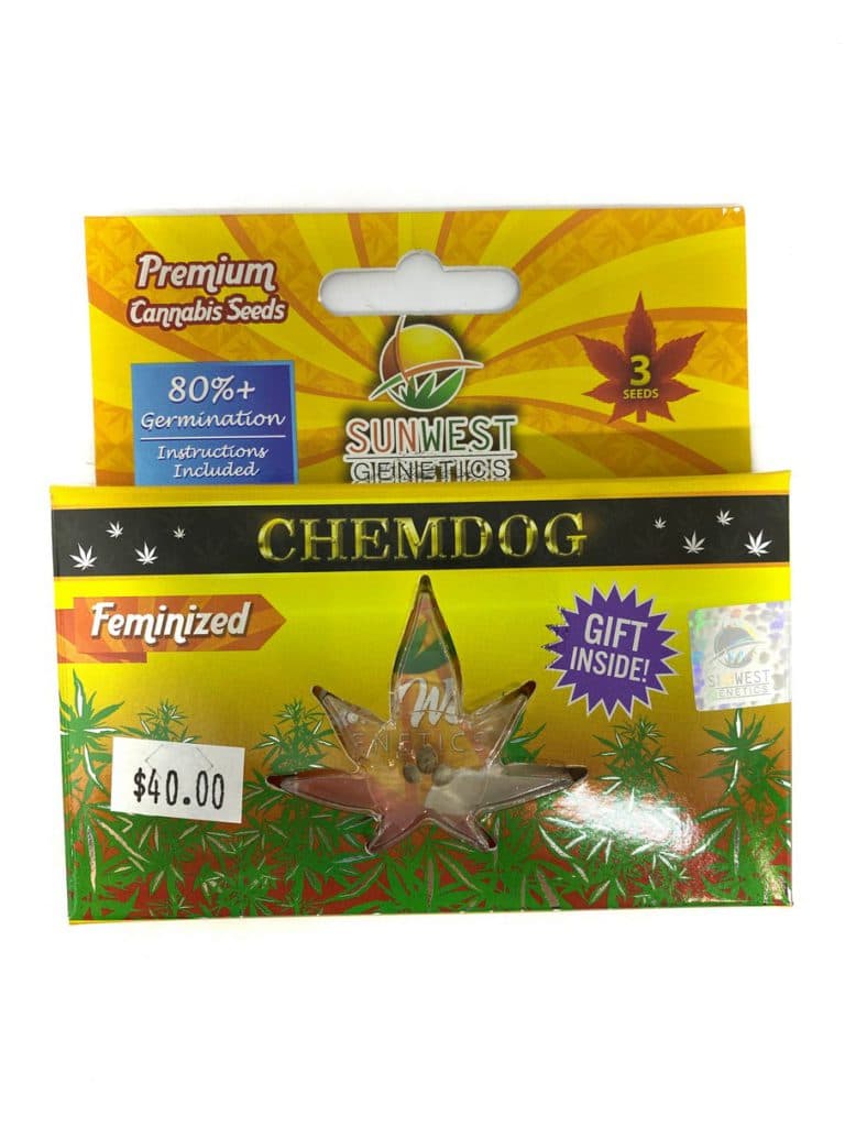 Chemdog cannabis seeds collection featuring 196 premium seeds from Company 195 in a clear seed storage container