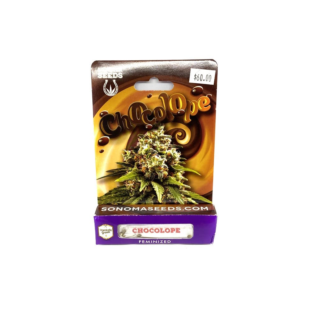 Bubblegum Seeds cannabis strain seed packet from Company 194, Chocolope variety close-up