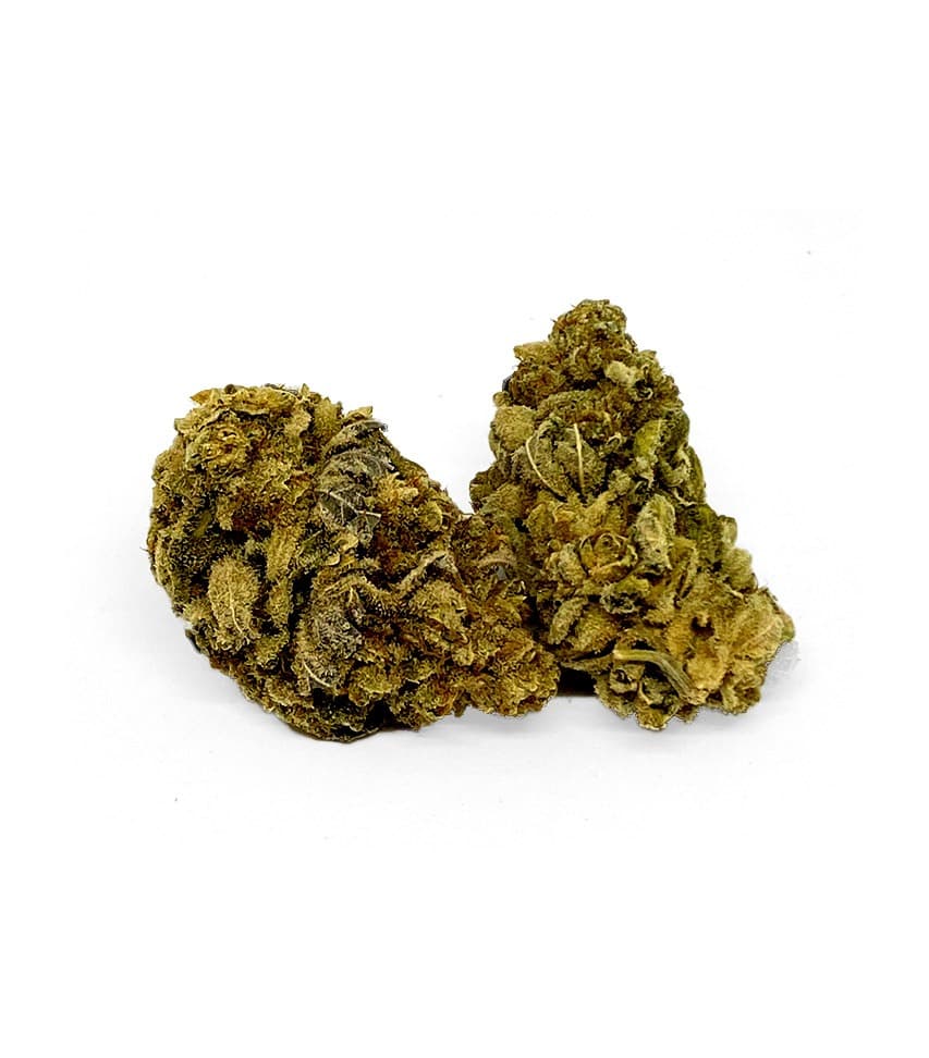 Meat Breath cannabis flower buds, dense and resinous, displayed in a product portion for daily ounce measurement