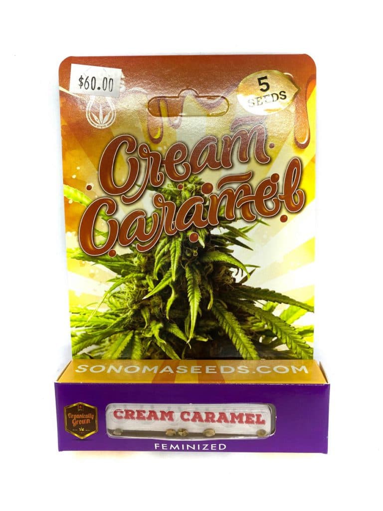 Cream Caramel cannabis seeds in a small pile or packet, featuring golden caramel tones, 192 seed count by Company 194