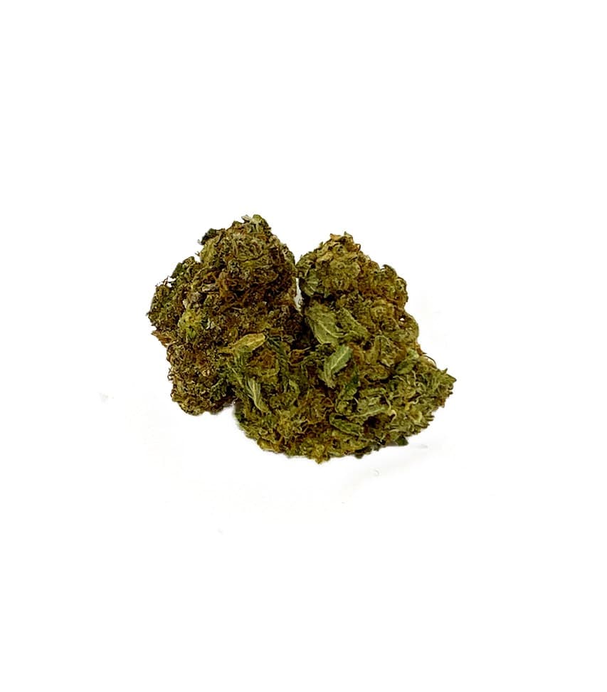 Critical Haze cannabis strain close-up showing dense frosty buds with hazy green coloring and amber trichomes
