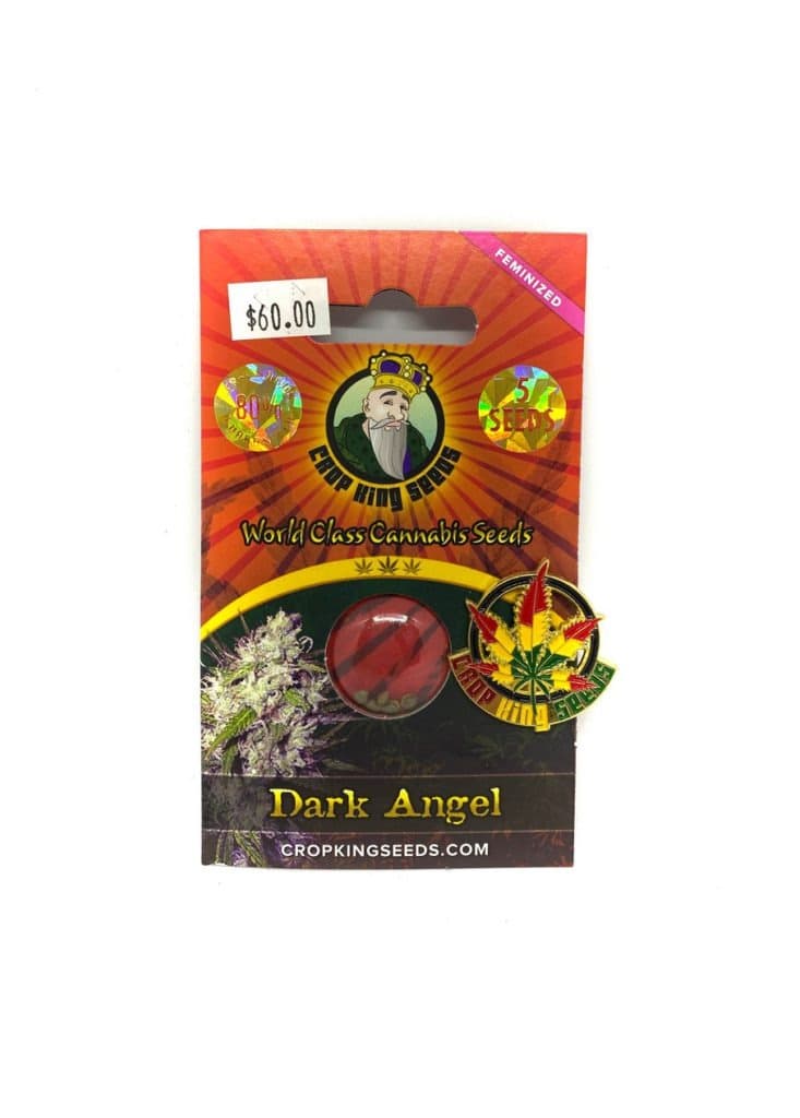 Dark Angel Seeds packet containing 192 seeds for planting dark-colored angel flowers