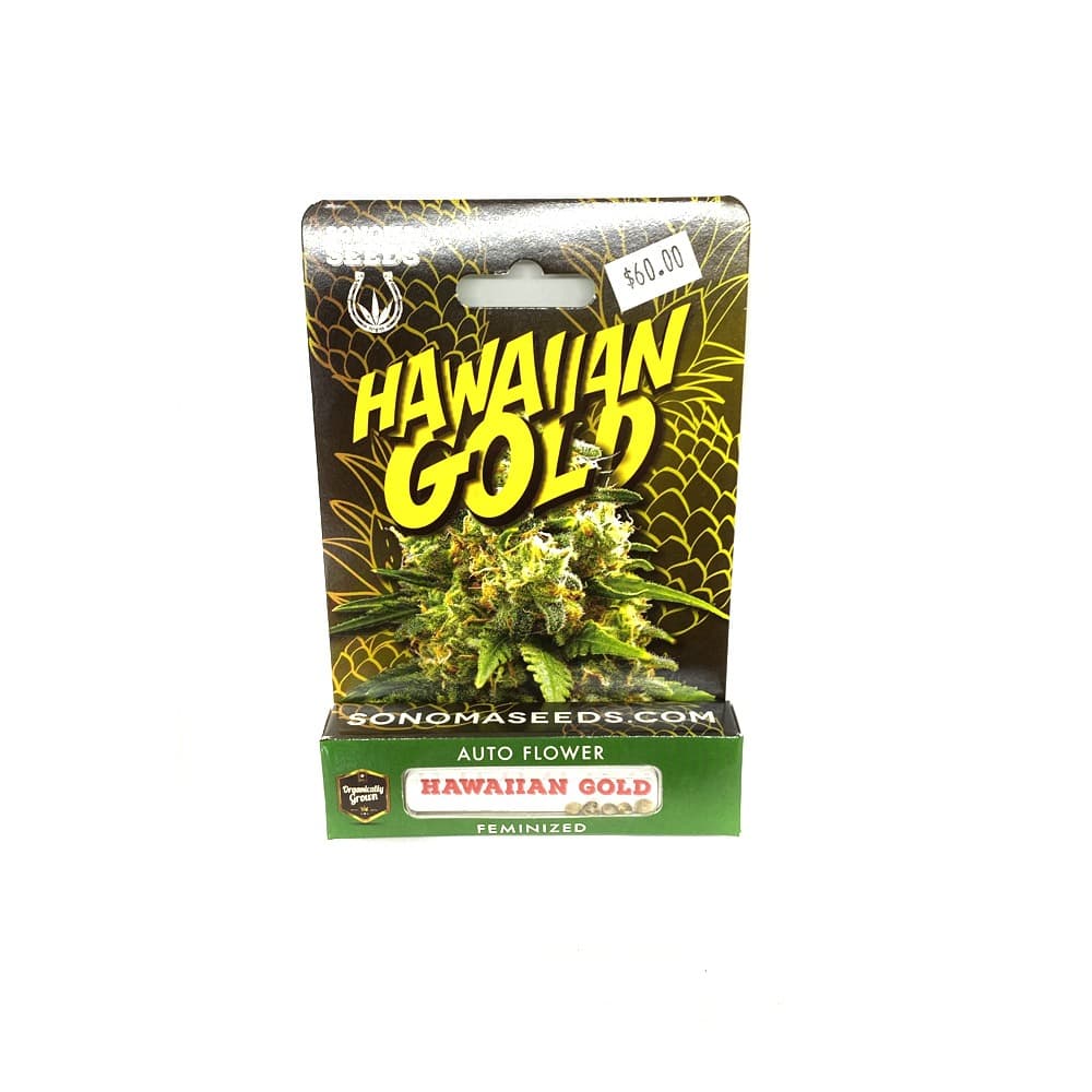 Hawaiian Gold bubblegum cannabis seeds displayed against a clean background