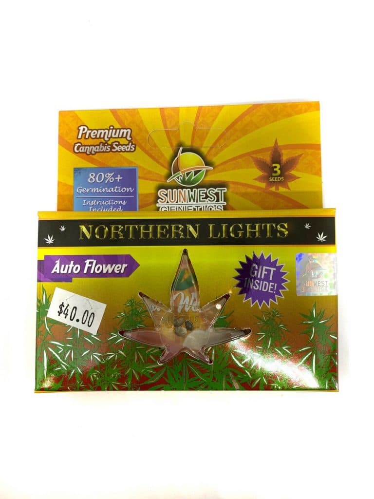 Northern Lights cannabis seeds in a small pile or packet, dark brown rounded seeds ready for planting