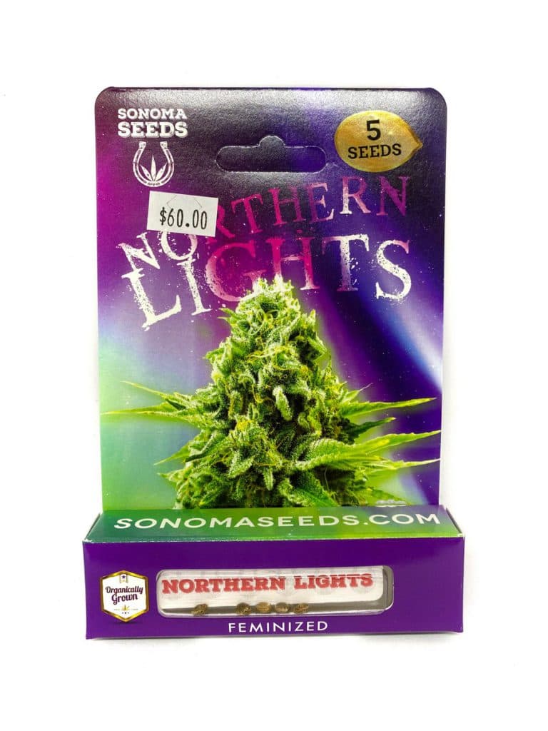 Close-up of Northern Lights cannabis seeds, a collection of 192 premium seeds displayed together