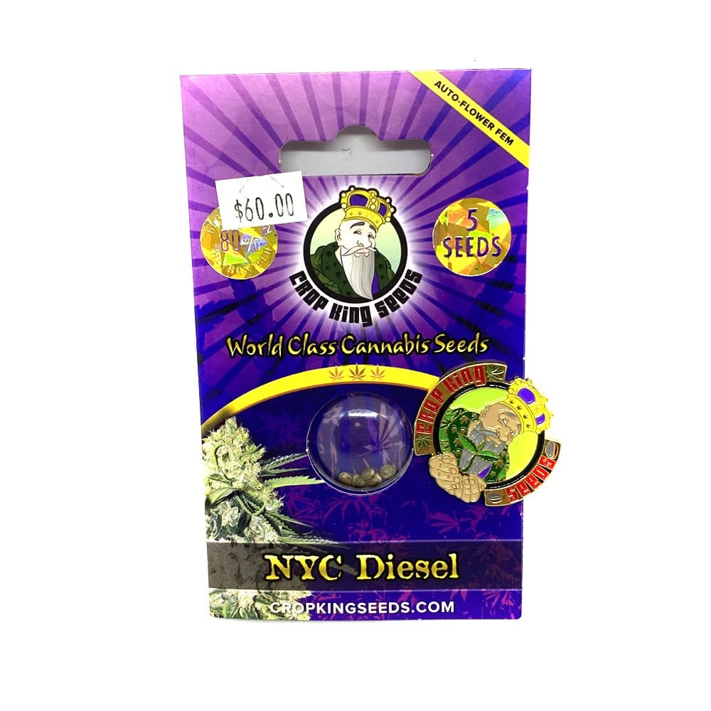 Bubblegum cannabis seeds displayed against a clean background, ideal for cultivation enthusiasts