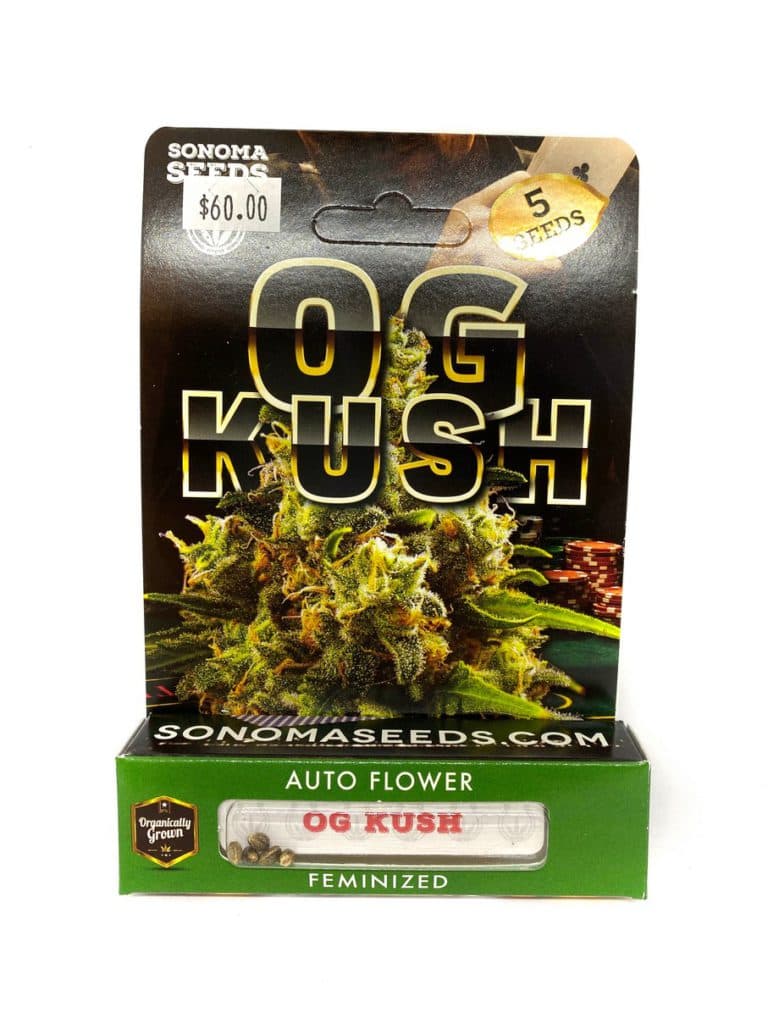 OG Kush cannabis seeds collection of 192 premium seeds from Company 194