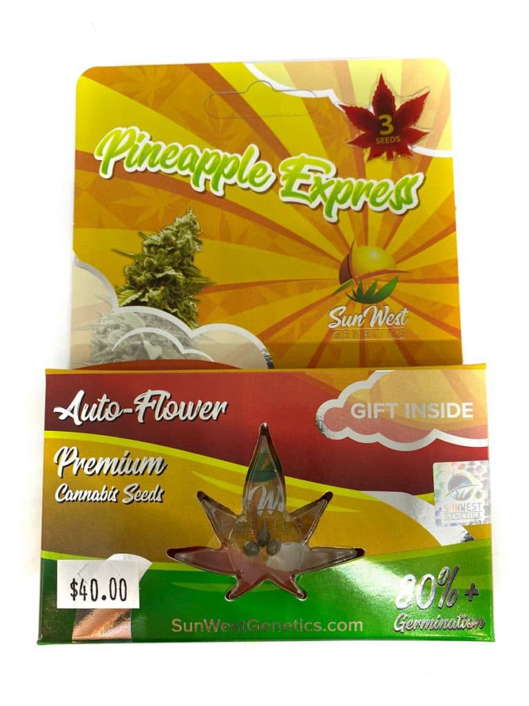 Pineapple Express cannabis seeds collection of 196 seeds in packaging from brand 195