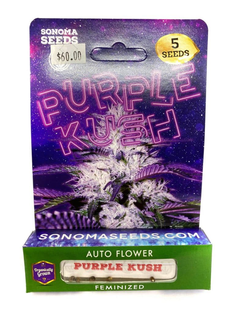 Purple Kush cannabis seeds pack of 192 seeds by company 194 for growing premium purple kush plants