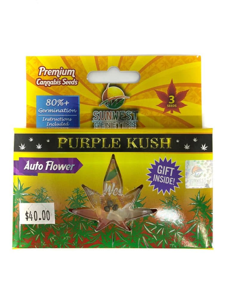 Purple Kush cannabis seeds in a collection of 196 seeds displayed for purchase