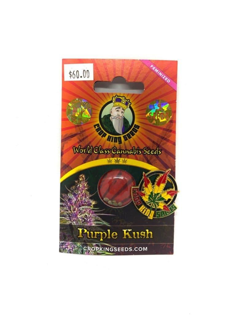 Purple Kush cannabis seeds in a collection of 192 seeds packaged by company 193