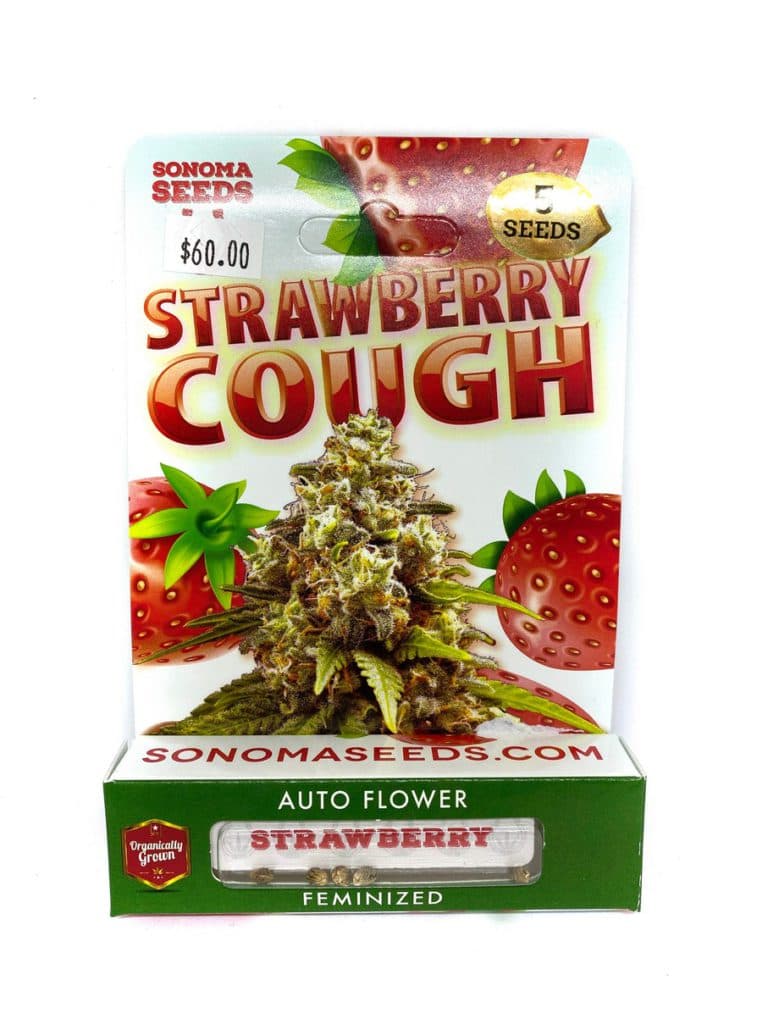 Close-up of Strawberry Cough cannabis seeds, a premium seed variety for cultivation