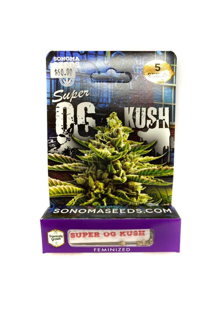 Super OG Kush cannabis seeds, a collection of 192 premium quality marijuana seeds for cultivation