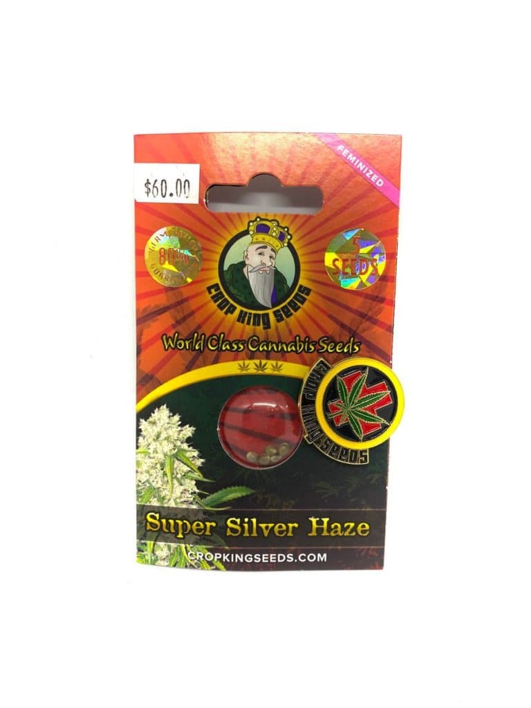 Close-up of Super Silver Haze cannabis seeds, small brown seeds with subtle silver sheen, ideal for growing