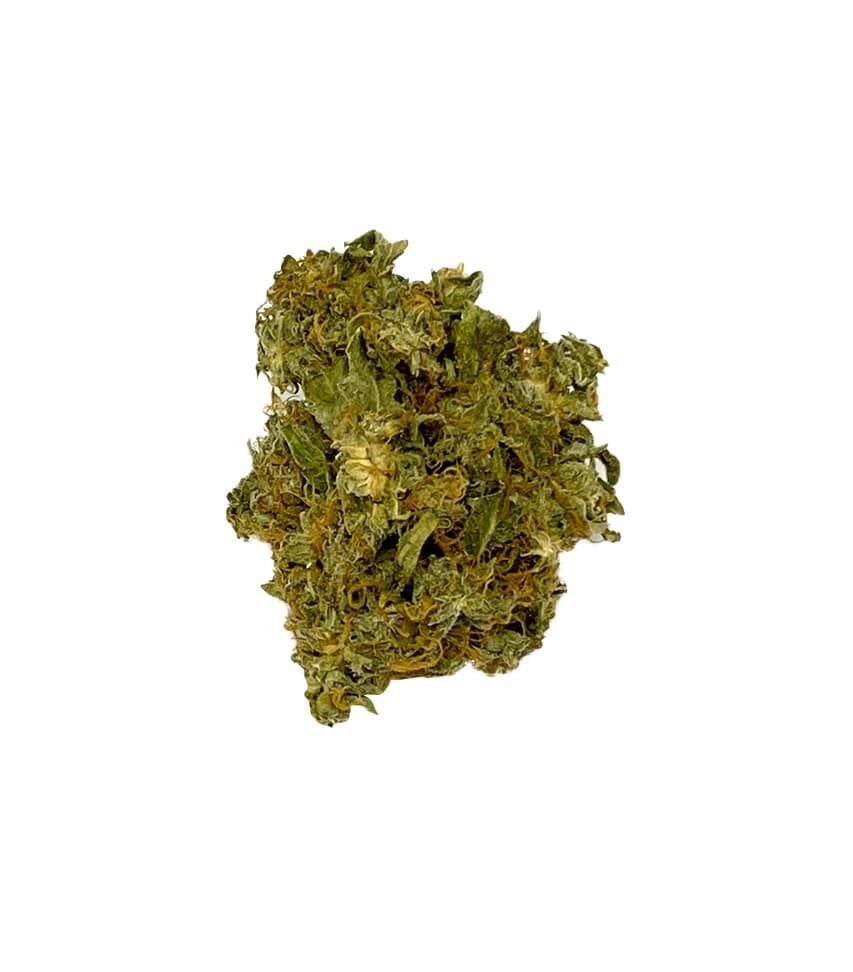 Triangle Kush cannabis flower close-up, Meat Breath strain, dense green buds with visible trichomes