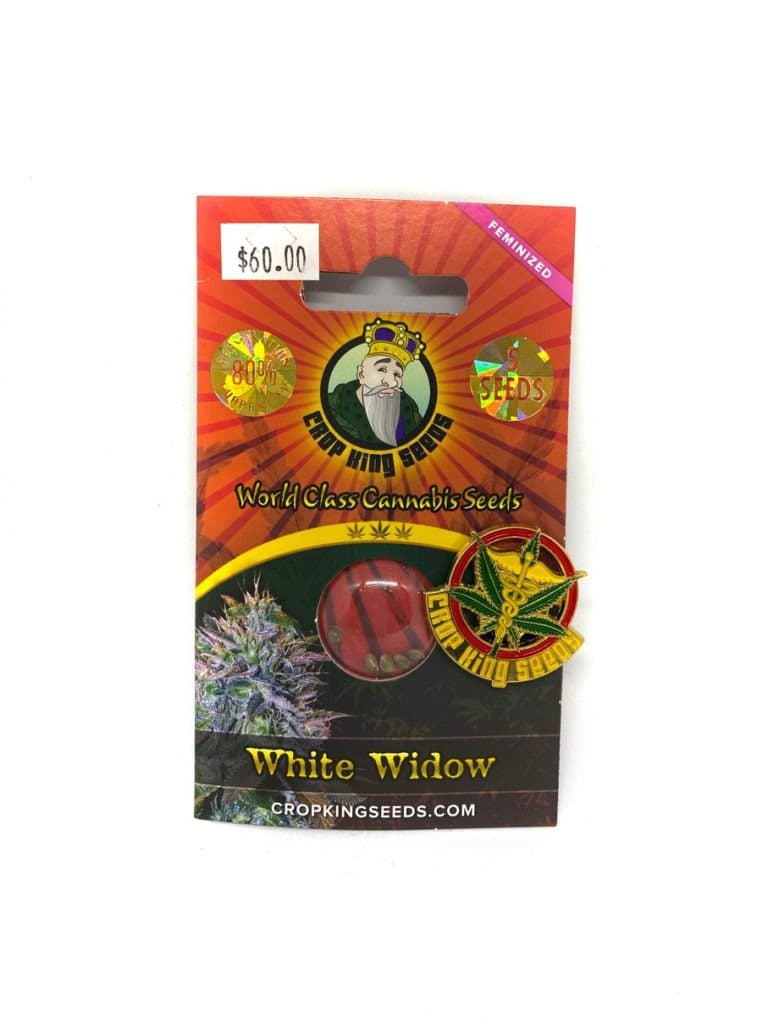 White Widow cannabis seeds in a collection of 192 seeds displayed for planting