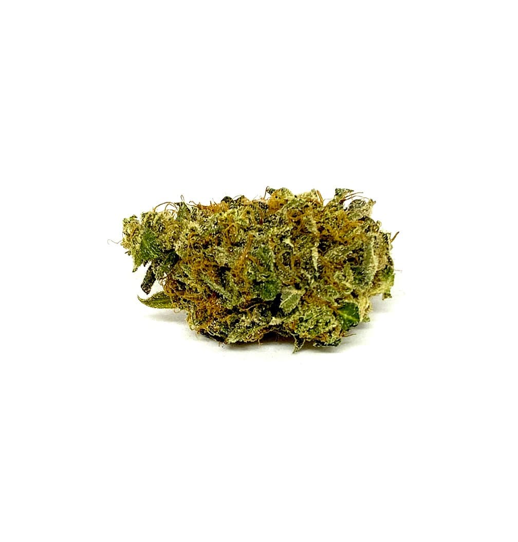 White Champagne Tropicana Banana cannabis strain flower buds close up showing frosty trichomes