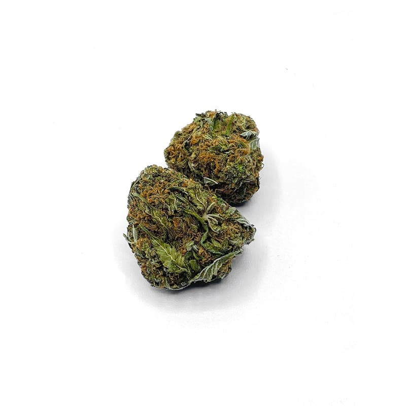Cinderella 99 premium cannabis flower buds with vibrant trichome coverage and rich green coloring