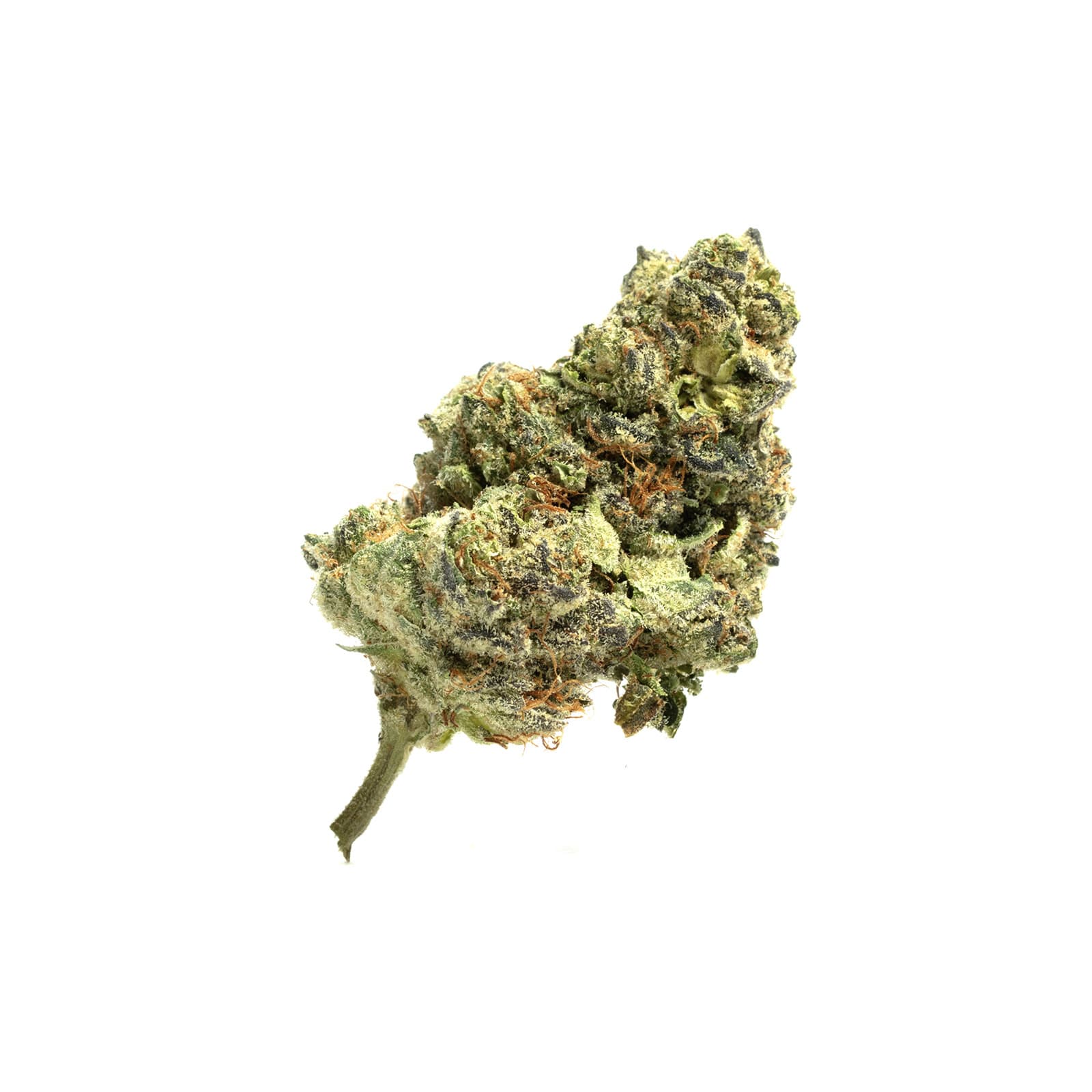 Runtz Muffin AAA cannabis buds dense colorful trichome-covered flowers with purple and green hues