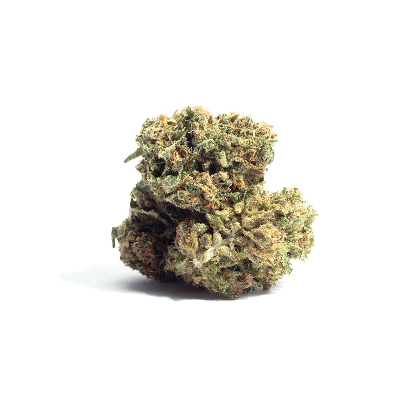 Alien Dawg cannabis strain product packaging showing THC content and daily ounce sizing details