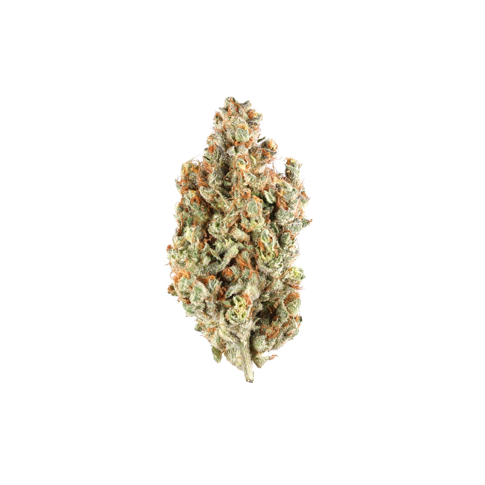 Beach Party daily cannabis product label 82 to 91 oz THC 88 percent vibrant beach themed packaging