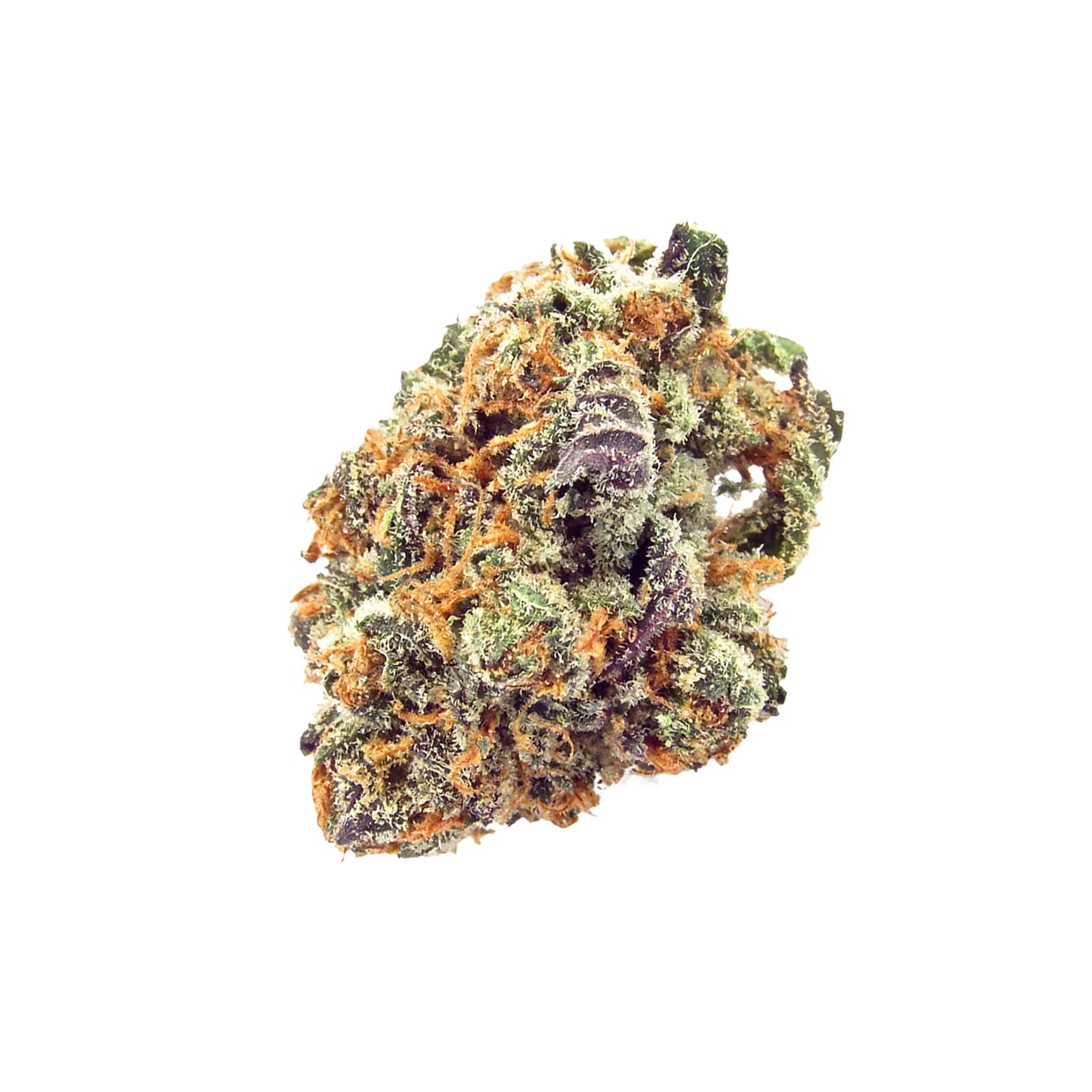 Mimosa AAA premium cannabis flower buds with vibrant orange pistils and frosty trichomes in daily ounce quantity