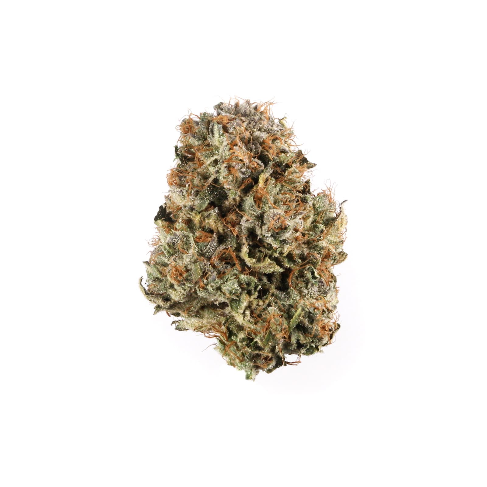 Pink Panties cannabis strain flower buds showcasing vibrant pink and purple hues with dense trichome coverage